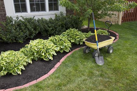 Expertise Matters: Professional Mulching for Healthy Landscapes