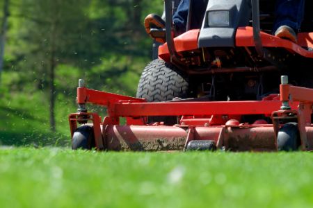 The Advantages of Professional Lawn Mowing: A Greener, Healthier Yard Thumbnail