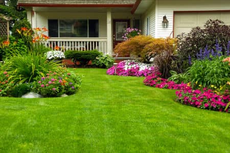 Niceville fl lawn care