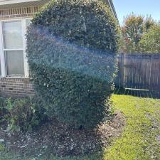 Hedge trimming