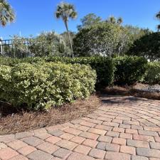 Top-Rated-Pine-Straw-Installation-Services-in-Niceville-FL-Enhance-Your-Landscape-with-Professional-Expertise 0