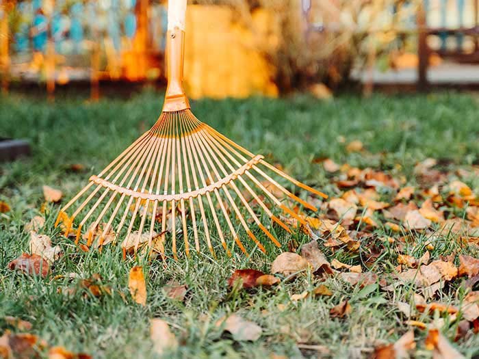 yard-clean-up-rack-autumn