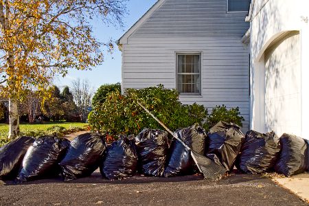 Yard Clean Up Thumbnail